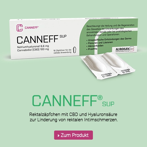 CANNEFF SUP